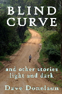 Blind Curve and other stories light and dark