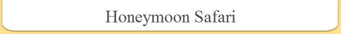 Honeymoon Safari