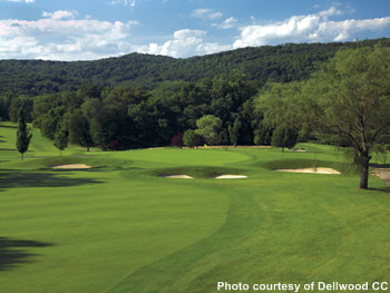 Delwood CC #8