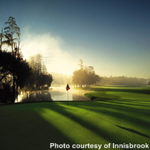Innisbrook