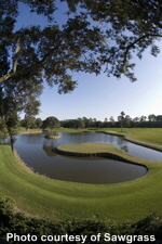 Sawgrass Players Stadium Course #17
