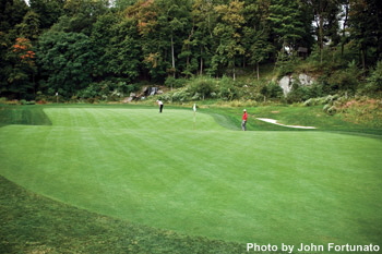 Whippoorwill Club #8